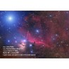CELESTRON CGX / RASA