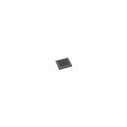 CAMERA ZWO ASI 183 MM