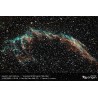 Observatoire intelligent Celestron Origin