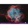 Kit de 2 filtres Antlia ALP-T Dual Band Ha-OIII 5nm et ALP-T Dual Band SII-Hb 5nm