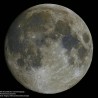 Télescope Maksutov-Newton 152 mm EXOS-2 PMC-Eight GoTo