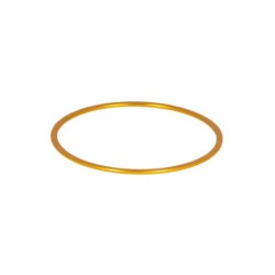 Baader Bague de réglage M48 1 mm couleur or